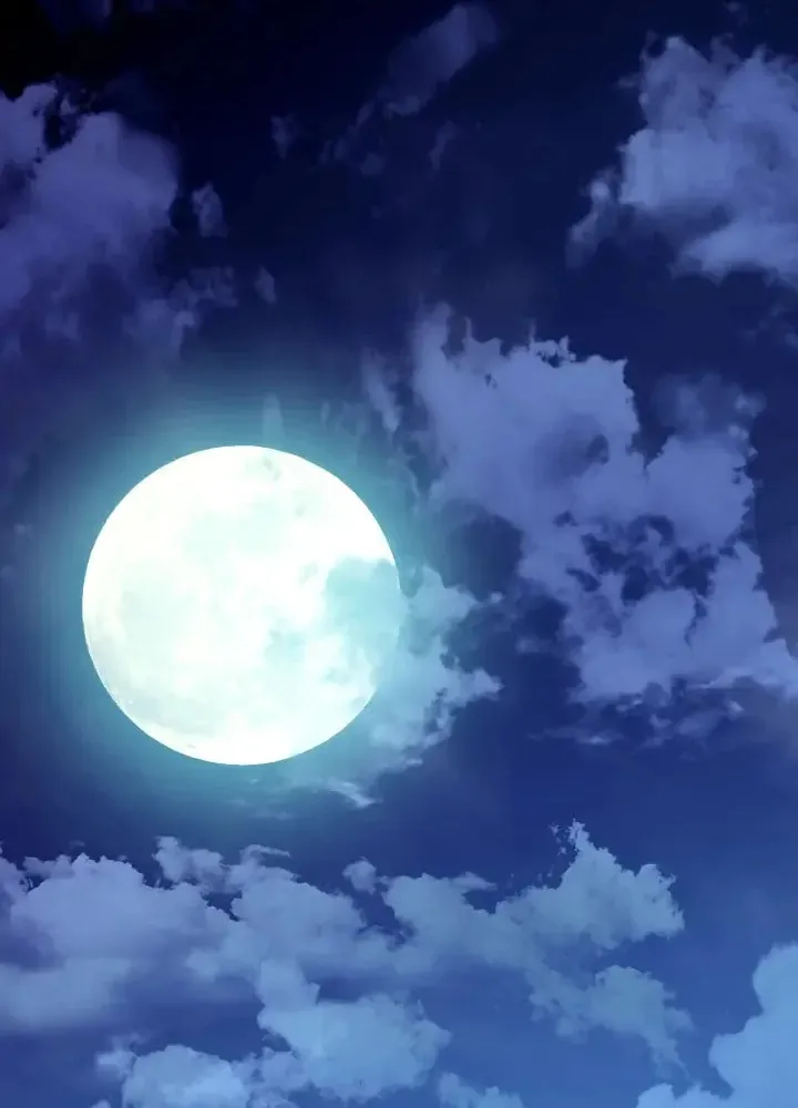 Saeeommaui Chingudeul Chapter 126 Page 52 - Chapter 126